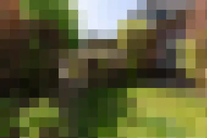 Meester Lovinklaan 55 Doetinchem thumbnail 25