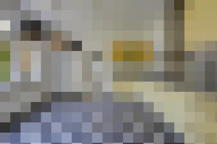 Meester Lovinklaan 55 Doetinchem thumbnail 4