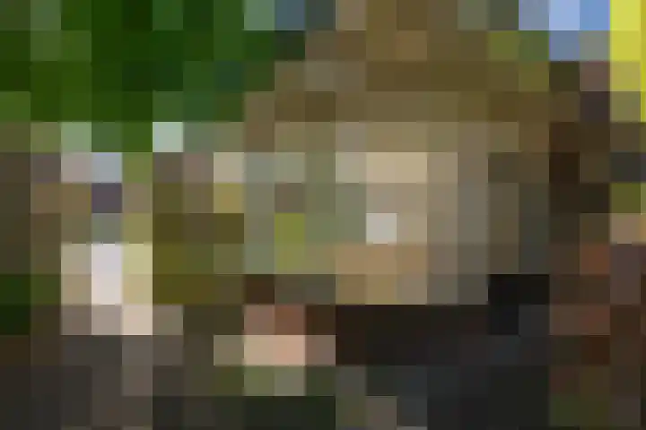 Meester Lovinklaan 55 Doetinchem thumbnail 5