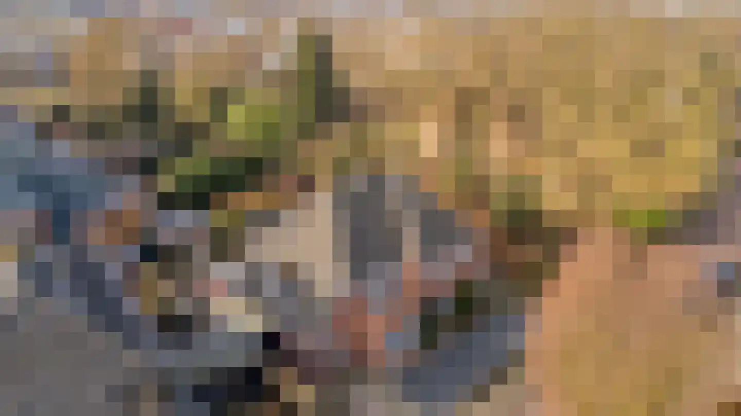 Meester Lovinklaan 8 Doetinchem thumbnail 4