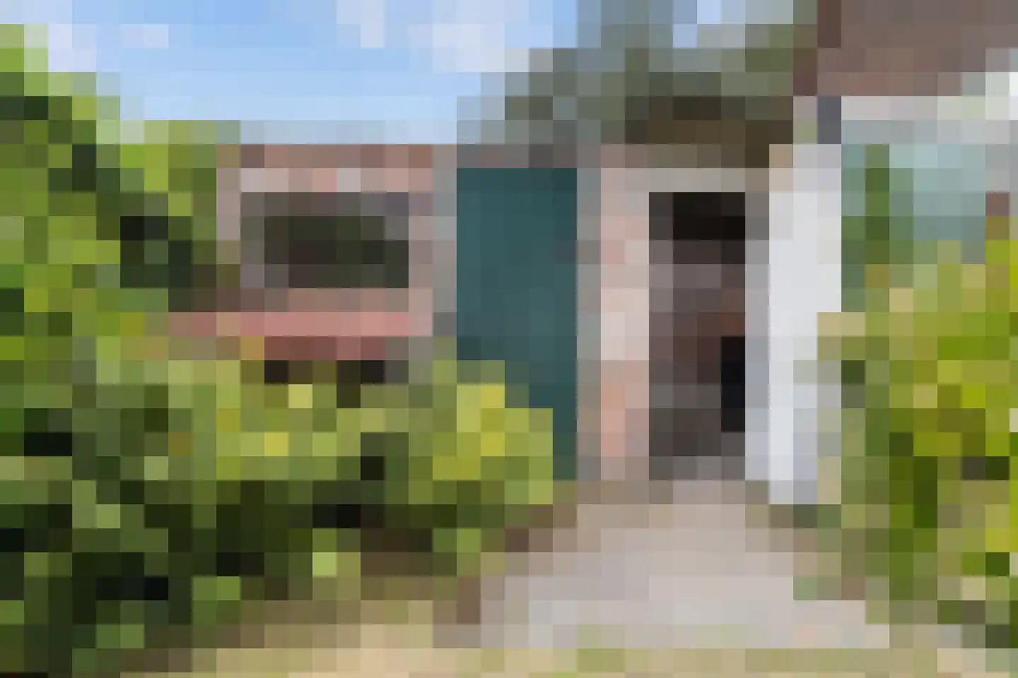 Meester Ludwigstraat 16 Castricum thumbnail 29