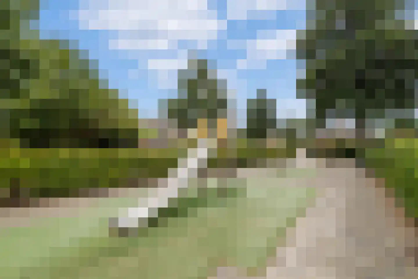 Meester Ludwigstraat 16 Castricum thumbnail 37