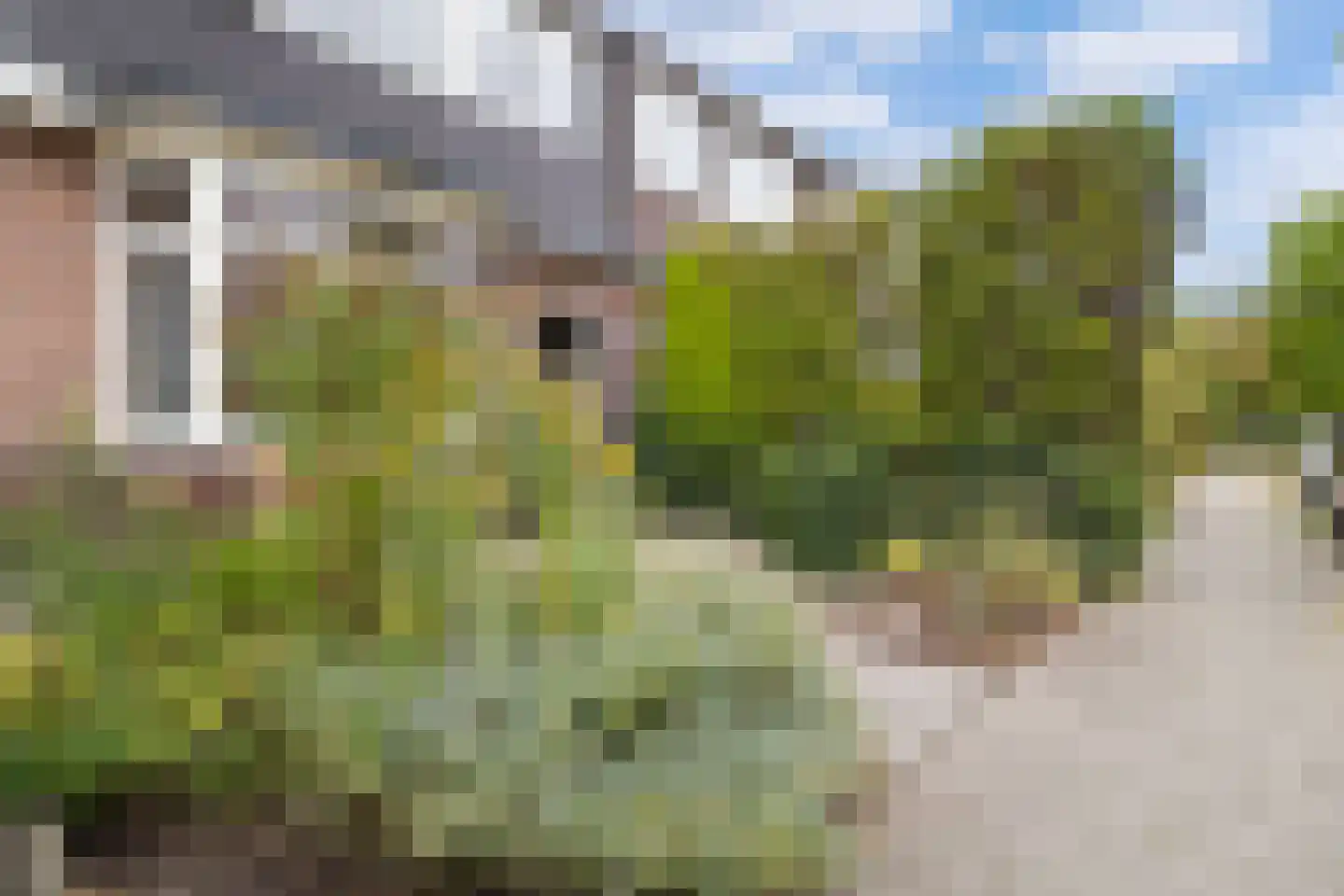 Meester Ludwigstraat 16 Castricum thumbnail 5