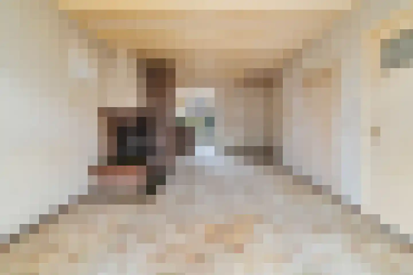 Meester Ludwigstraat 16 Castricum thumbnail 8
