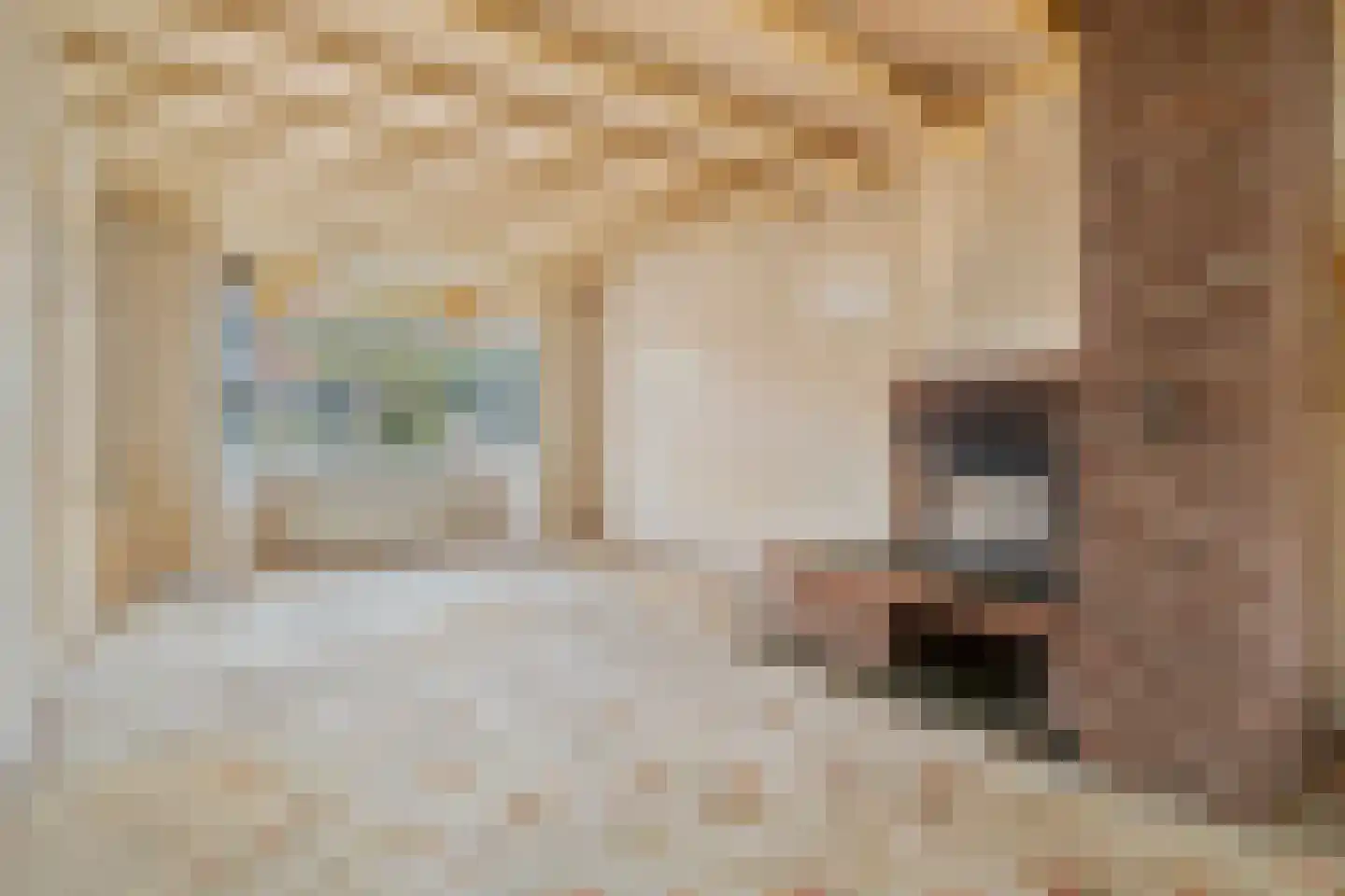 Meester Ludwigstraat 16 Castricum thumbnail 9