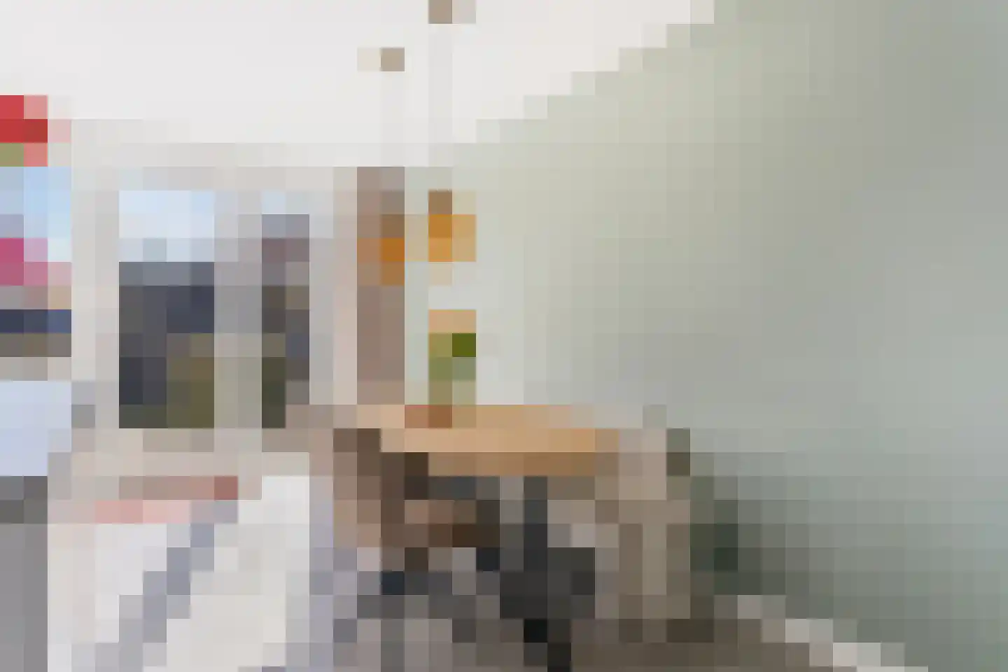 Meester Ludwigstraat 37 Castricum thumbnail 15