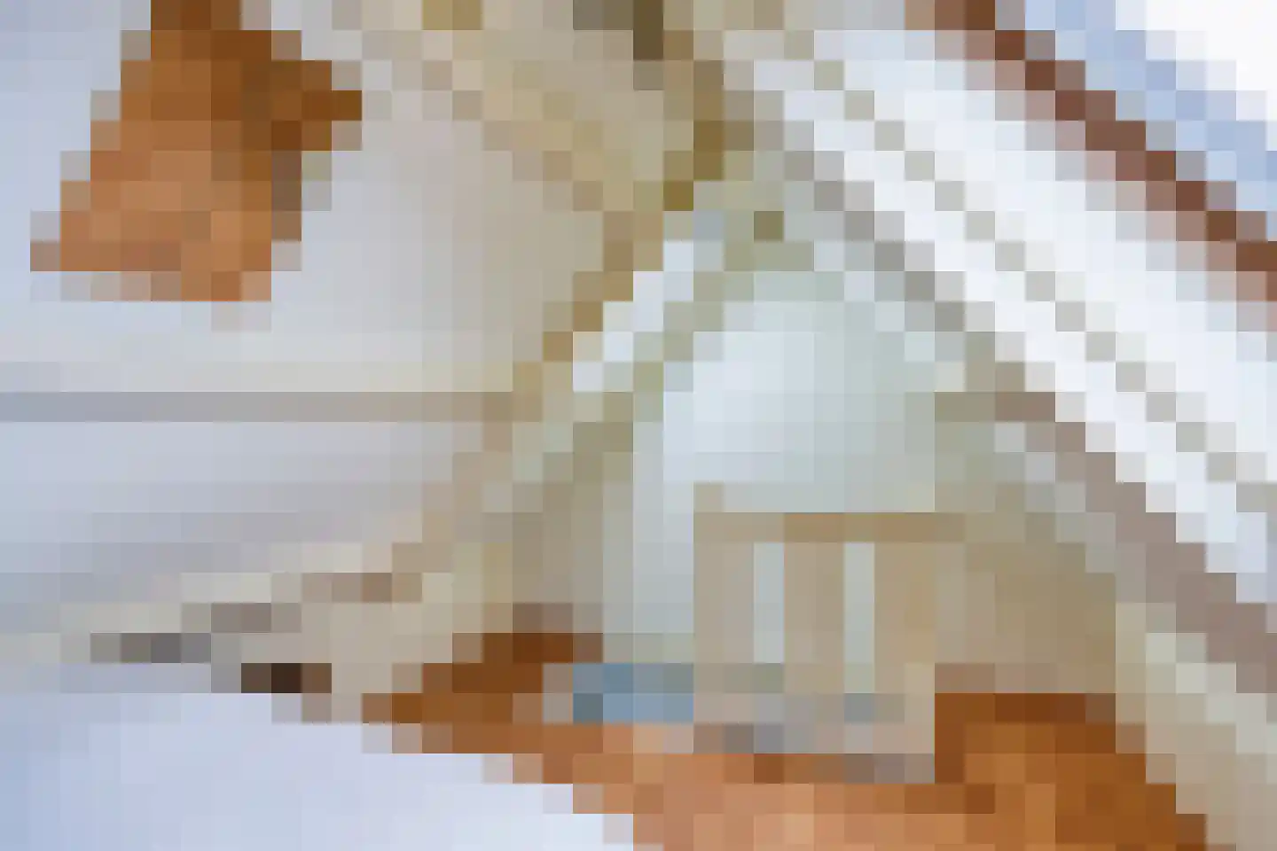 Meester Ludwigstraat 37 Castricum thumbnail 36