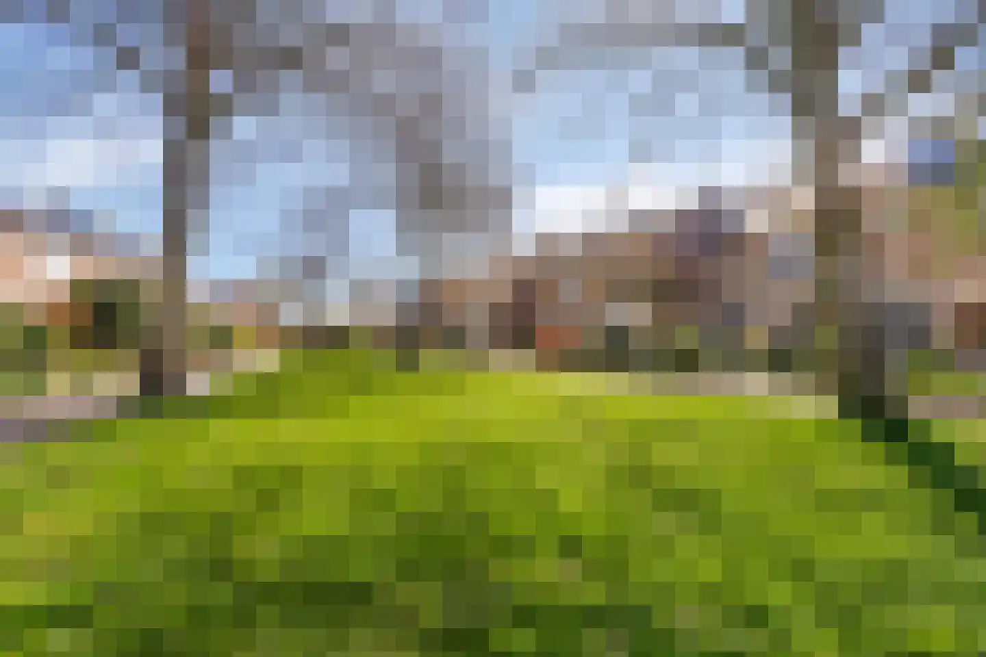 Meester Ludwigstraat 37 Castricum thumbnail 44
