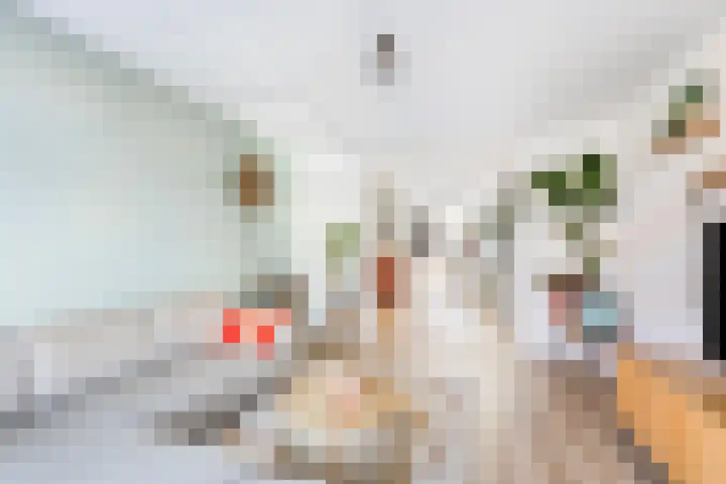 Meester Ludwigstraat 37 Castricum thumbnail 6