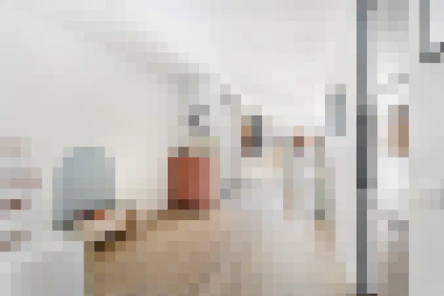 Meester Ludwigstraat 37 Castricum thumbnail 8