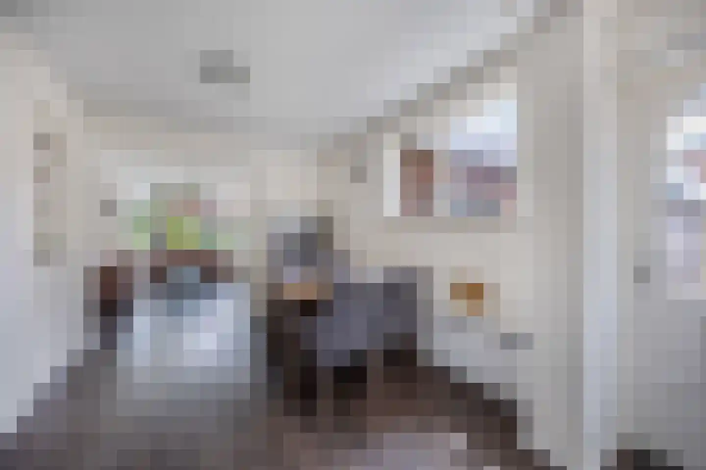 Meester Ludwigstraat 38 Castricum thumbnail 24