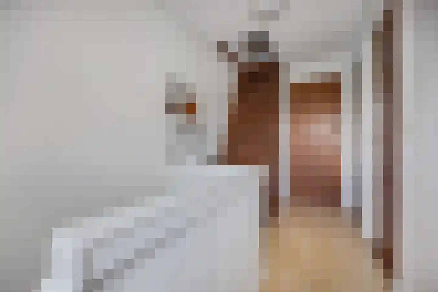 Meester Ludwigstraat 38 Castricum thumbnail 29