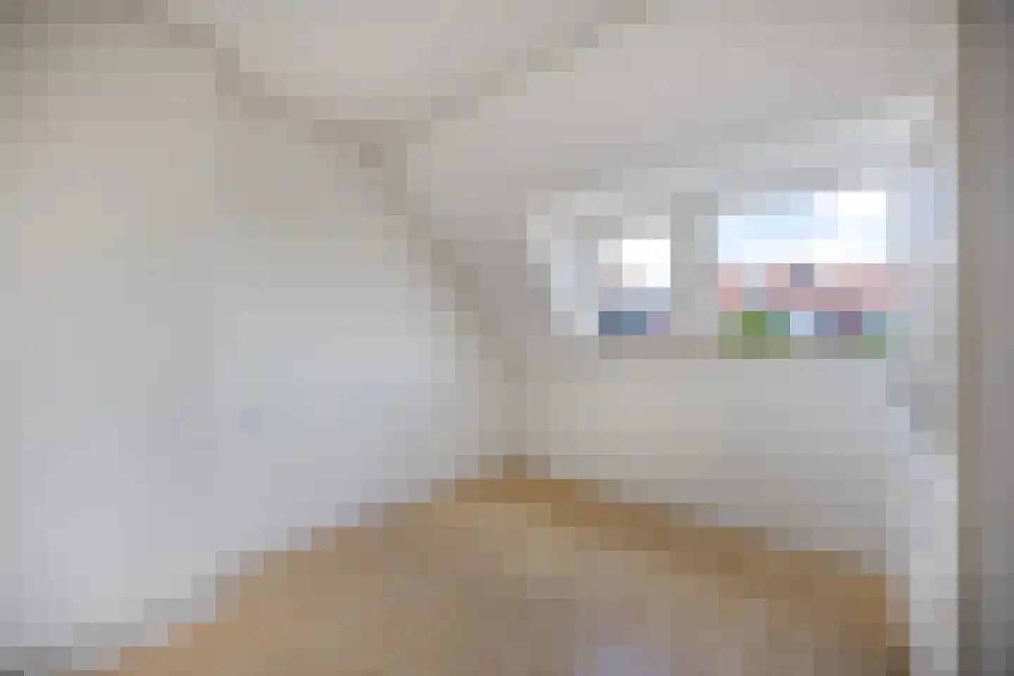 Meester Ludwigstraat 38 Castricum thumbnail 34