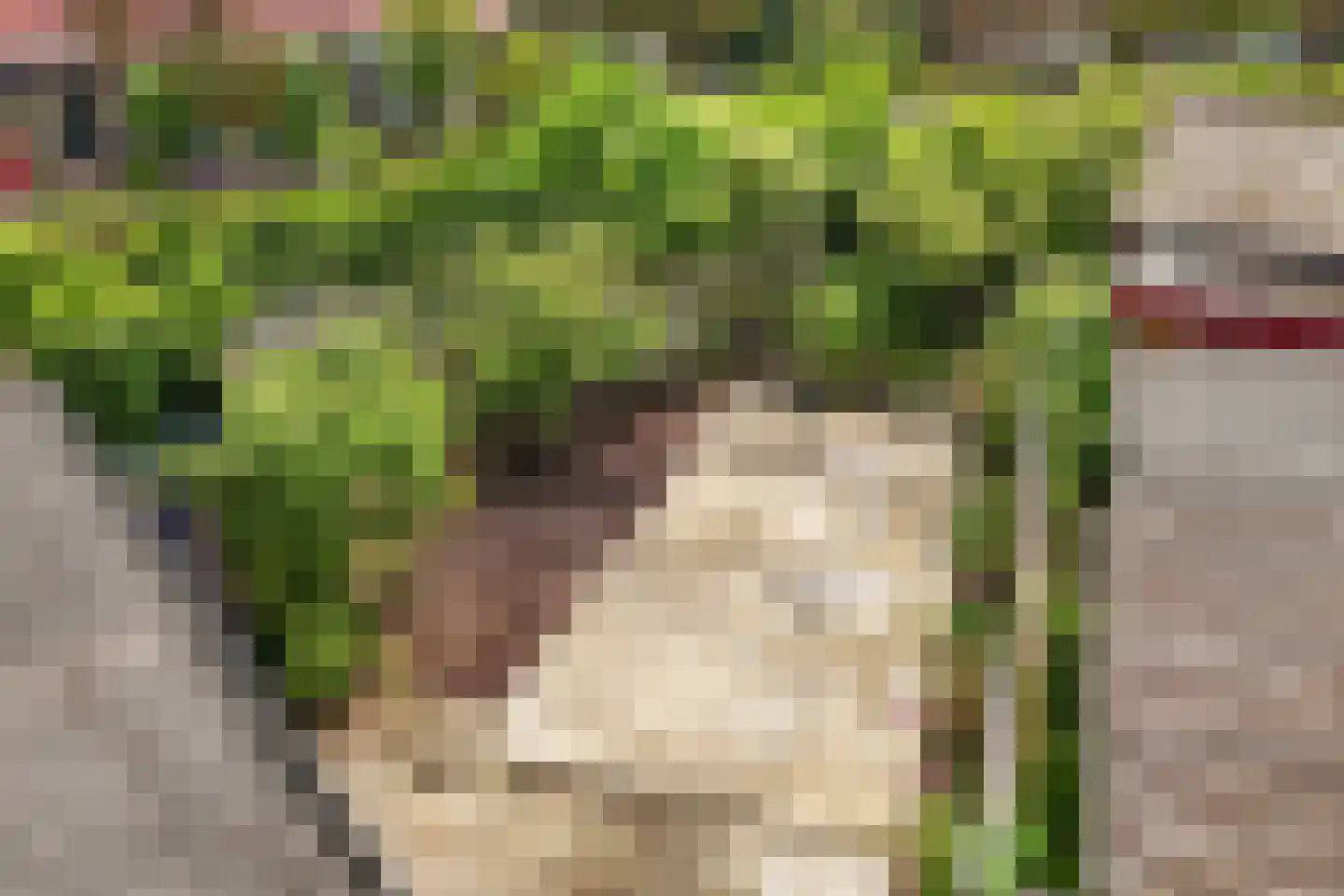 Meester Ludwigstraat 38 Castricum thumbnail 50