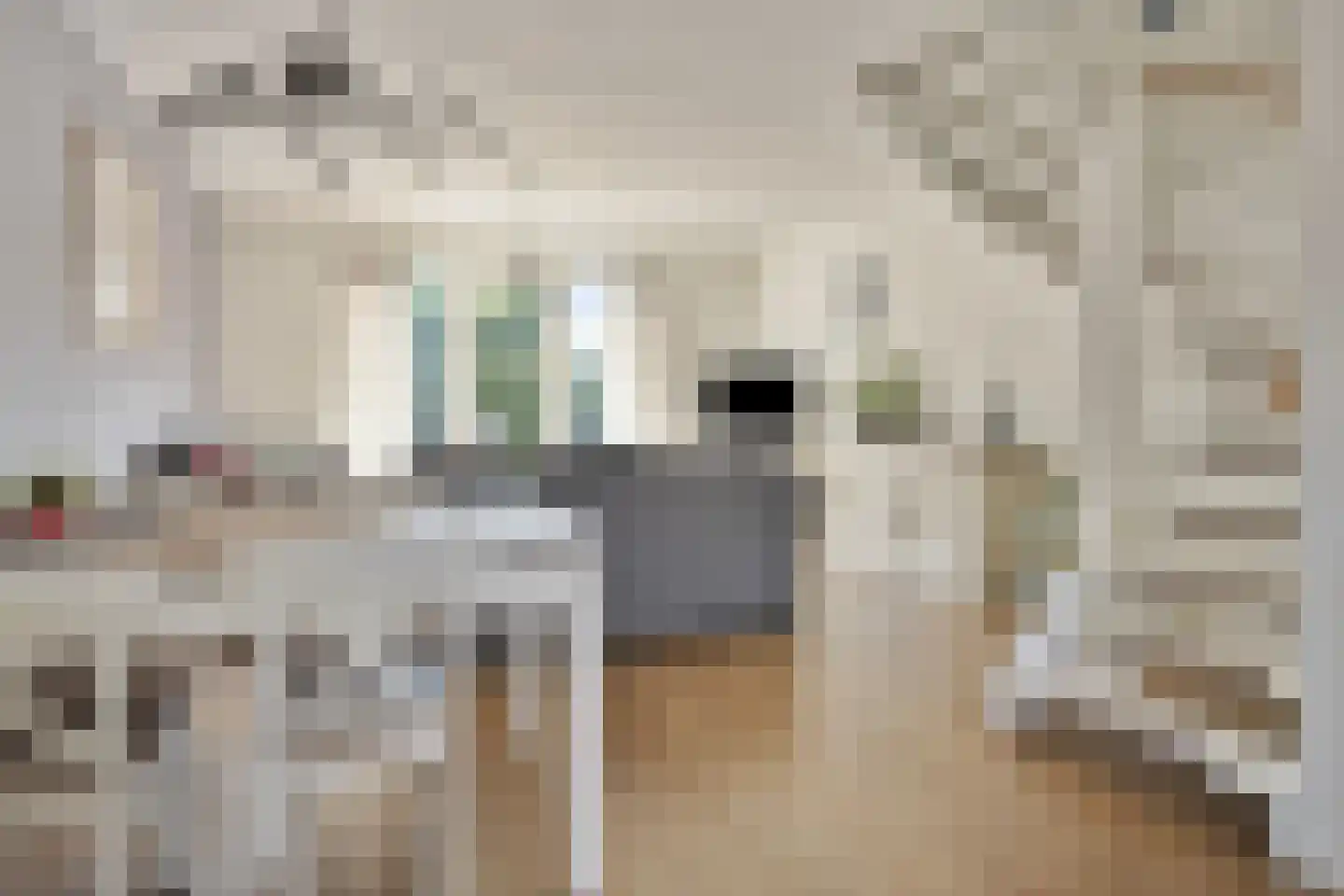 Meester M de Zeeuwstraat 1 Opheusden thumbnail 13
