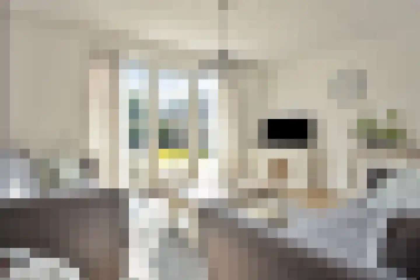 Meester M de Zeeuwstraat 1 Opheusden thumbnail 14