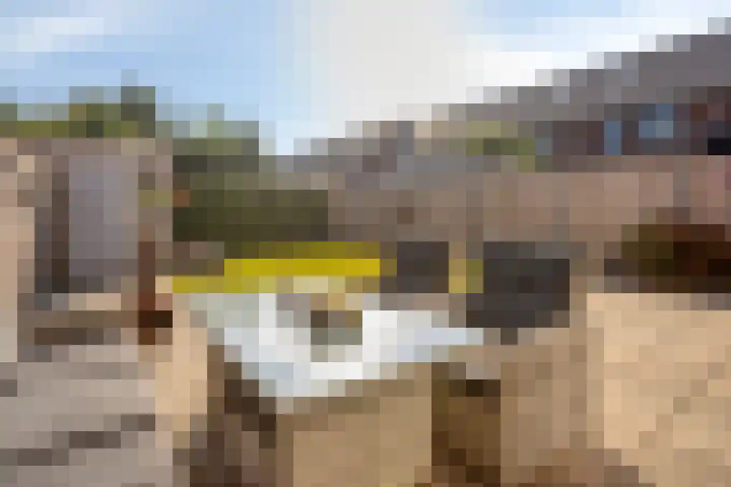Meester M de Zeeuwstraat 1 Opheusden thumbnail 25
