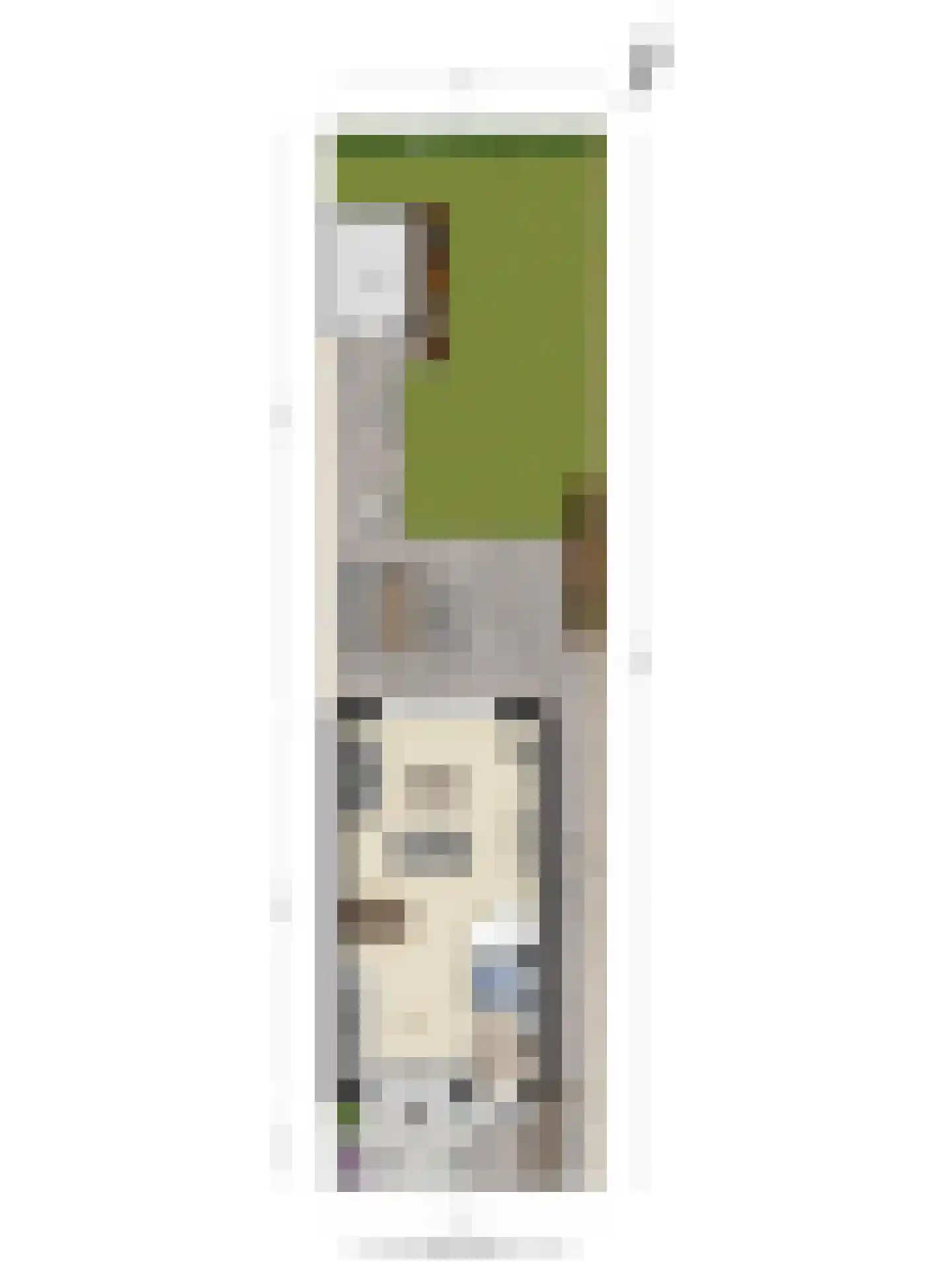 Meester M de Zeeuwstraat 1 Opheusden thumbnail 32