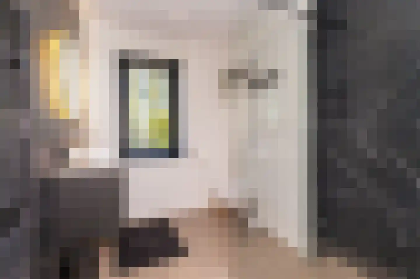 Meester Mantelstraat 51 Blokker thumbnail 37