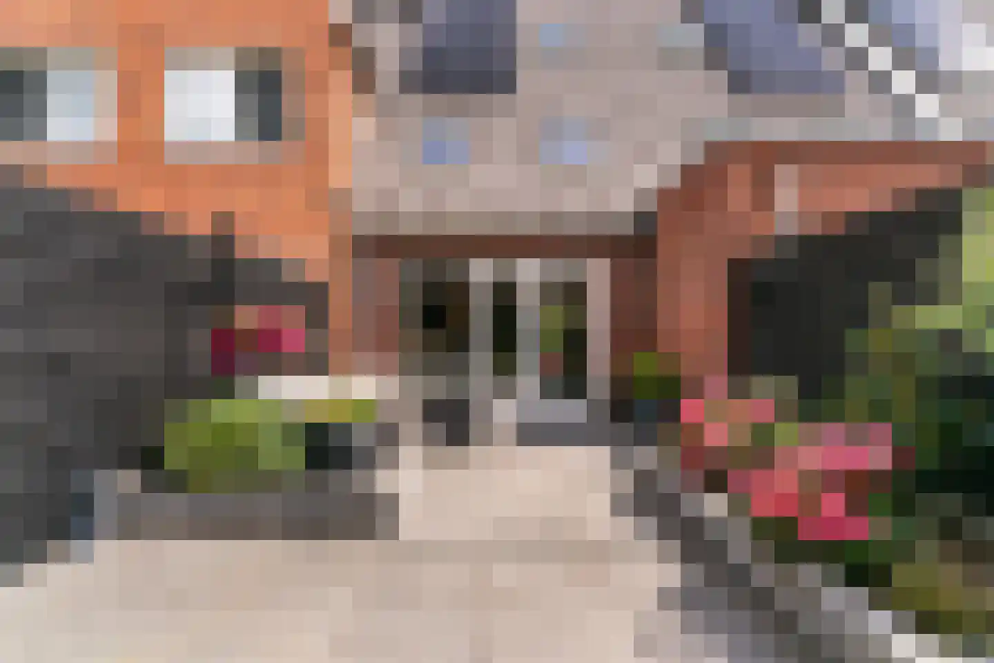 Meester Mantelstraat 7 Blokker thumbnail 23