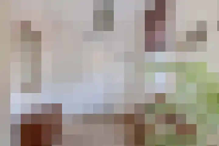 Meester Marcolaan 9 Lopik thumbnail 11