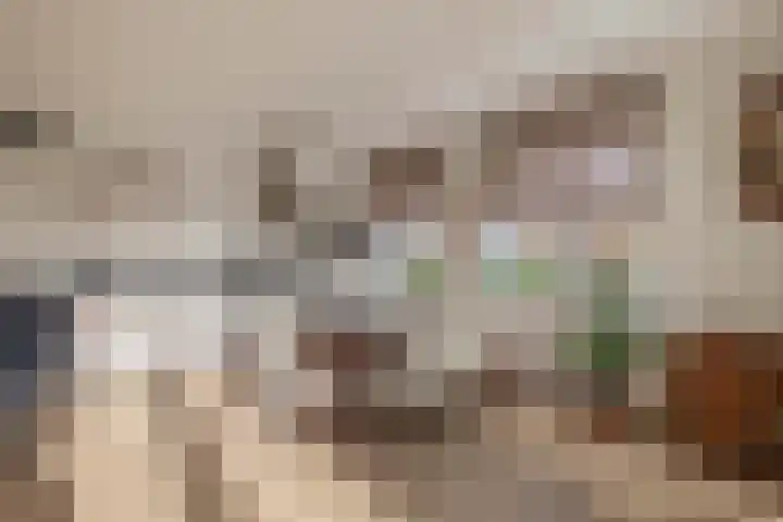 Meester Marcolaan 9 Lopik thumbnail 17