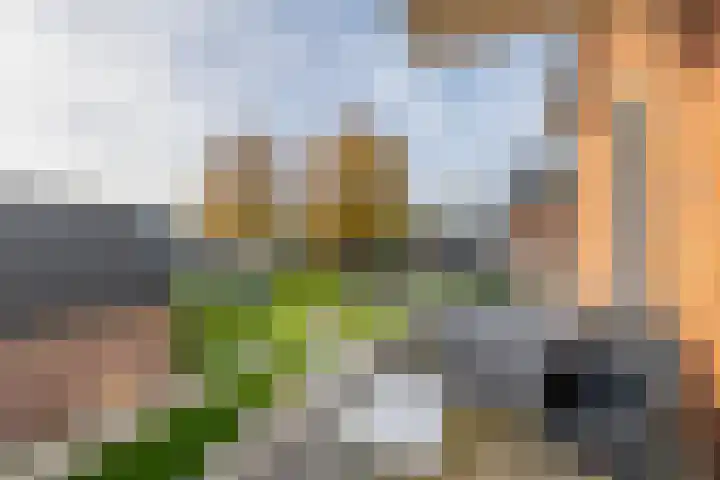 Meester Marcolaan 9 Lopik thumbnail 19