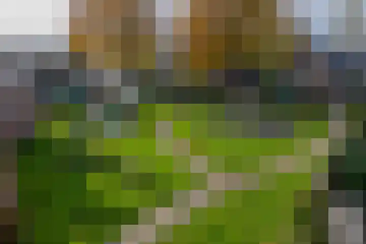 Meester Marcolaan 9 Lopik thumbnail 20