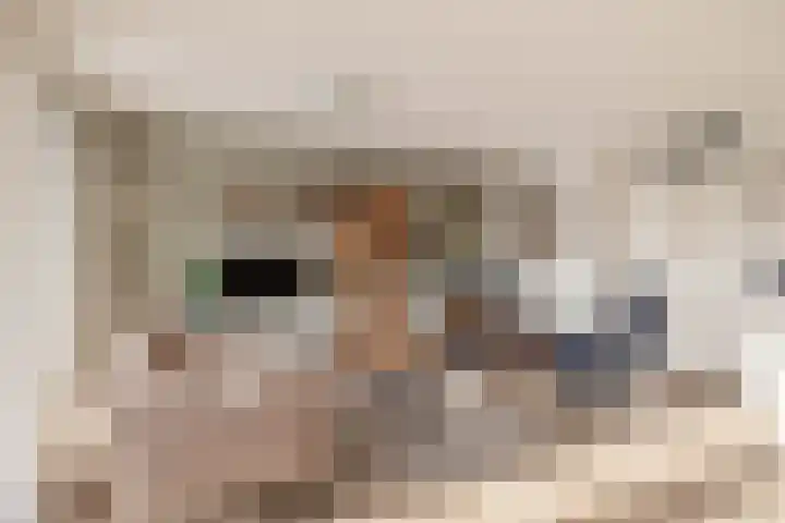 Meester Marcolaan 9 Lopik foto 3
