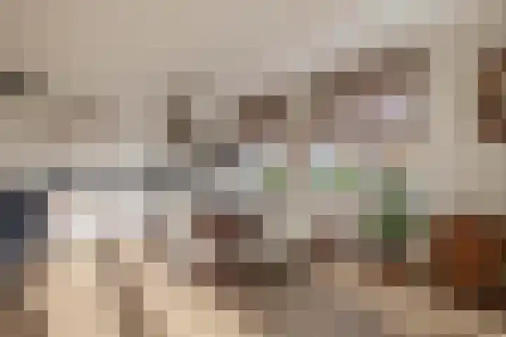 Meester Marcolaan 9 Lopik thumbnail 4