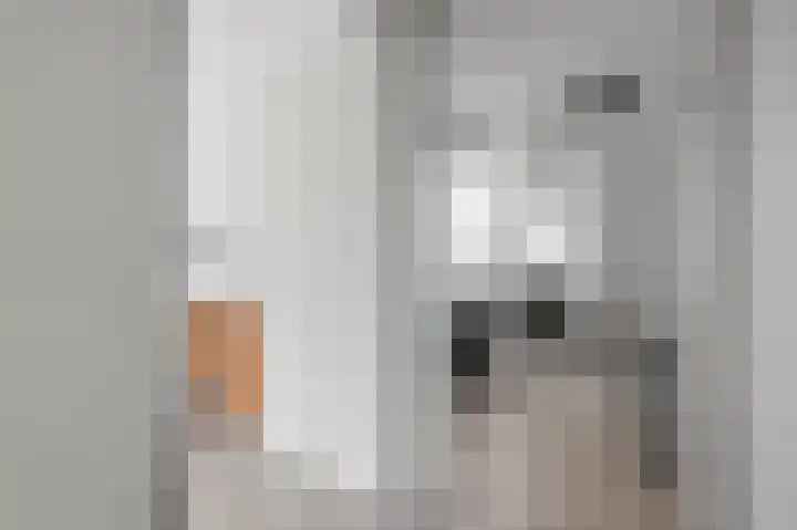 Meester Marrestraat 43 Rotterdam thumbnail 17