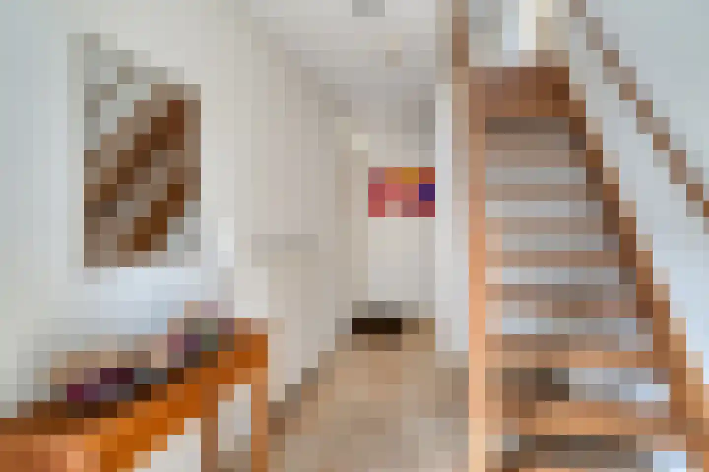 Meester Meijerplein 3 Nunspeet thumbnail 19