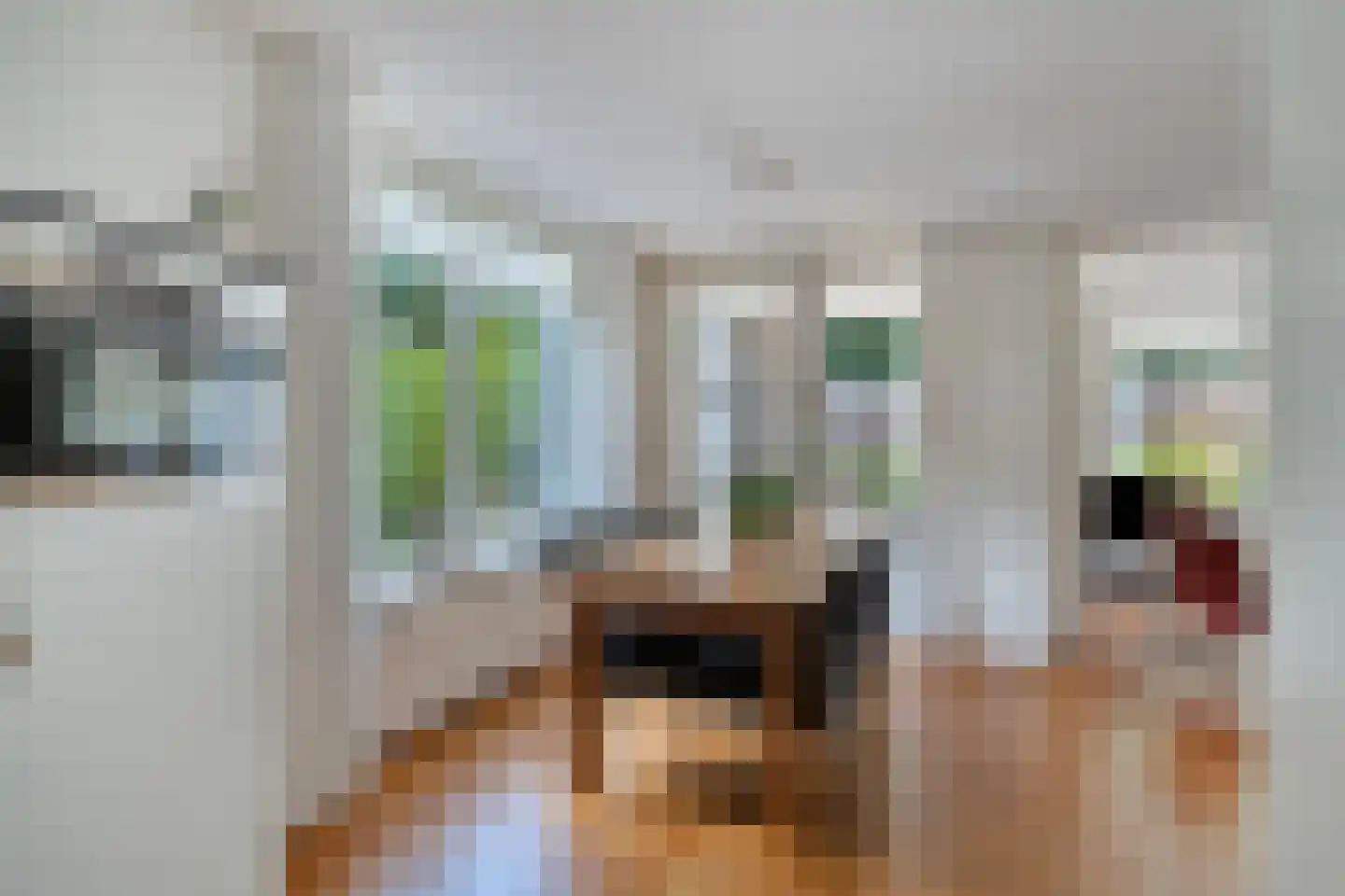 Meester Meijerplein 3 Nunspeet thumbnail 26