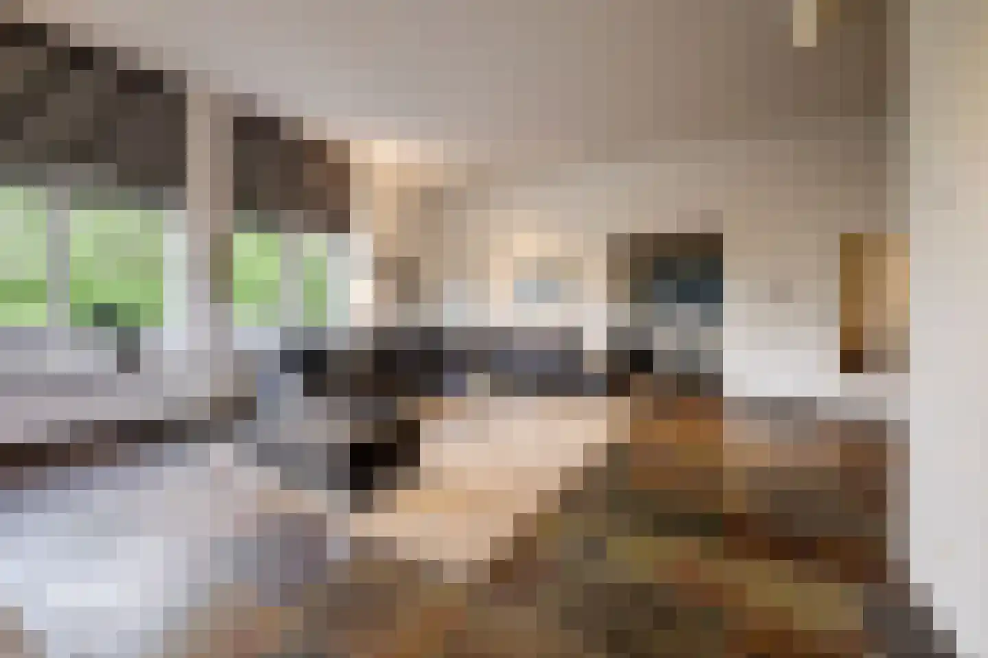 Meester Meijerplein 31 Nunspeet thumbnail 13