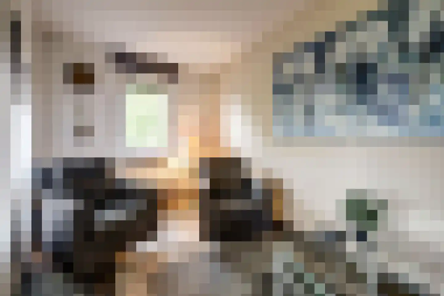 Meester Meijerplein 31 Nunspeet thumbnail 18