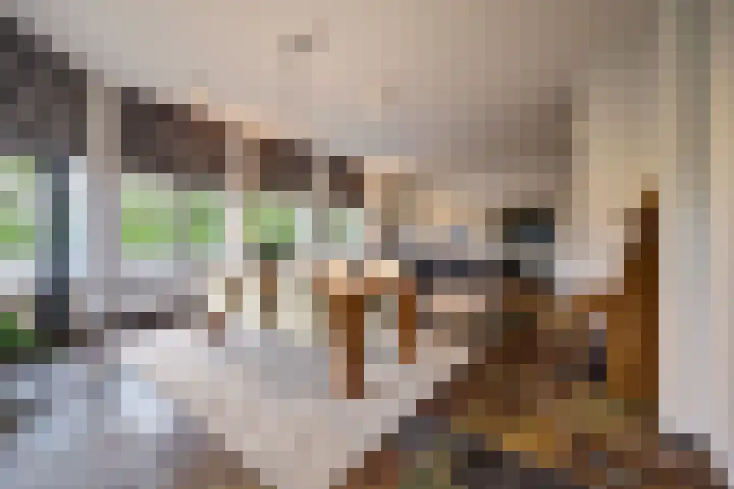 Meester Meijerplein 31 Nunspeet thumbnail 19
