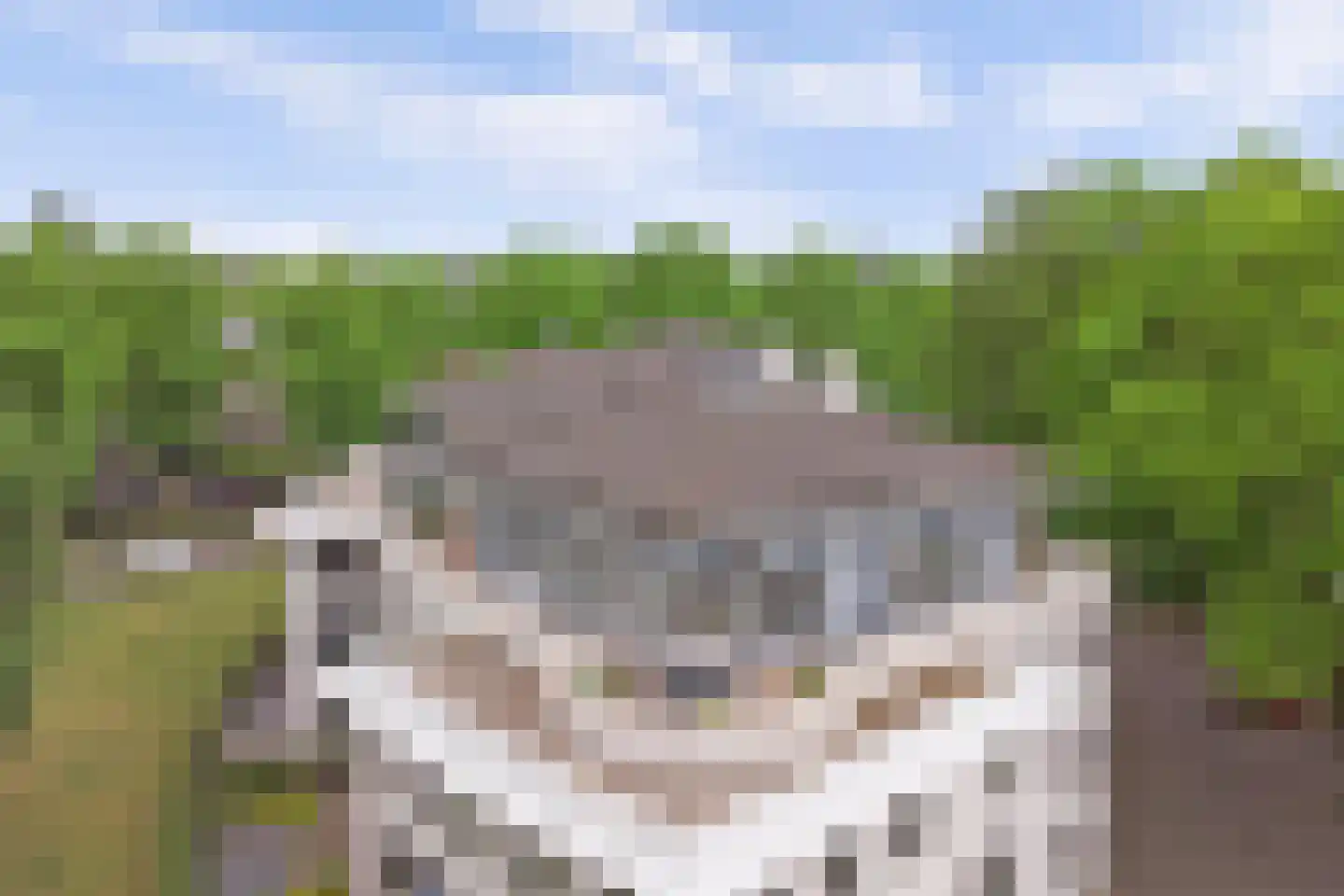 Meester Meijerplein 31 Nunspeet thumbnail 40