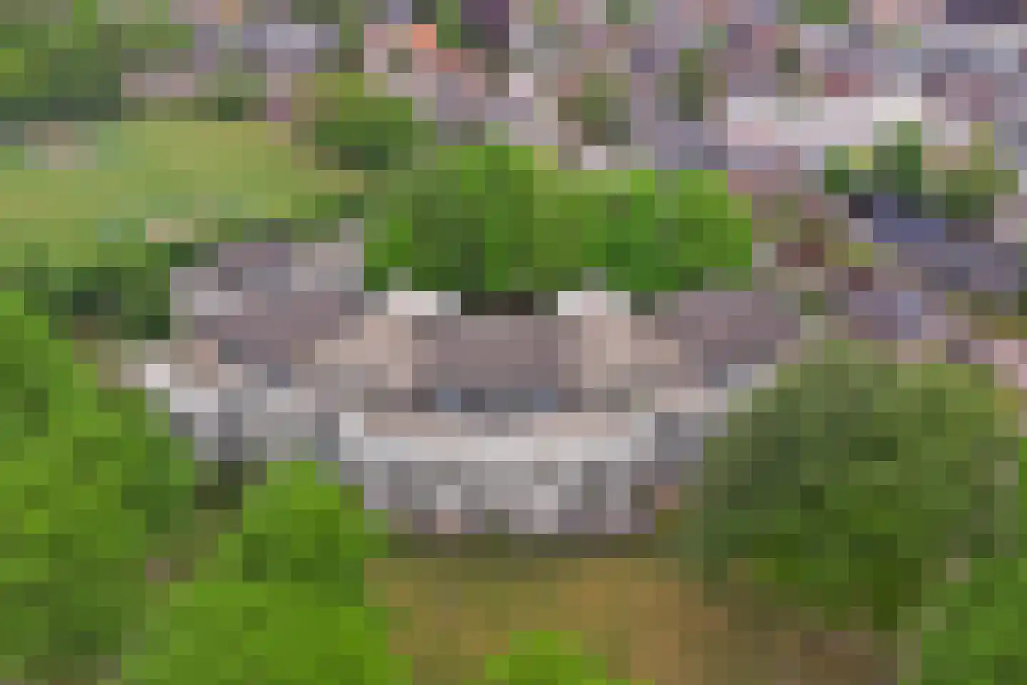 Meester Meijerplein 31 Nunspeet thumbnail 41