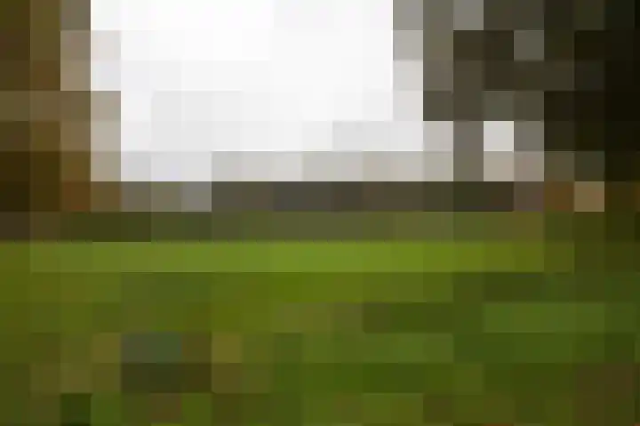 Meester Meinenweg 7 Winterswijk Kotten thumbnail 53