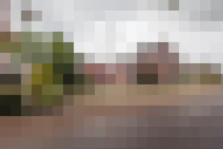 Meester Meinenweg 7 Winterswijk Kotten thumbnail 54