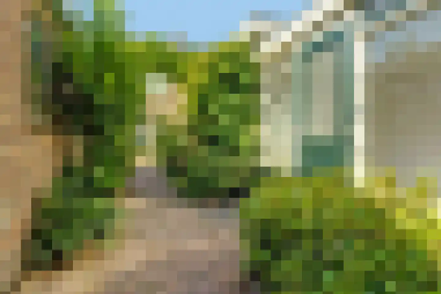 Meester Merkxstraat 30 Arnhem thumbnail 33