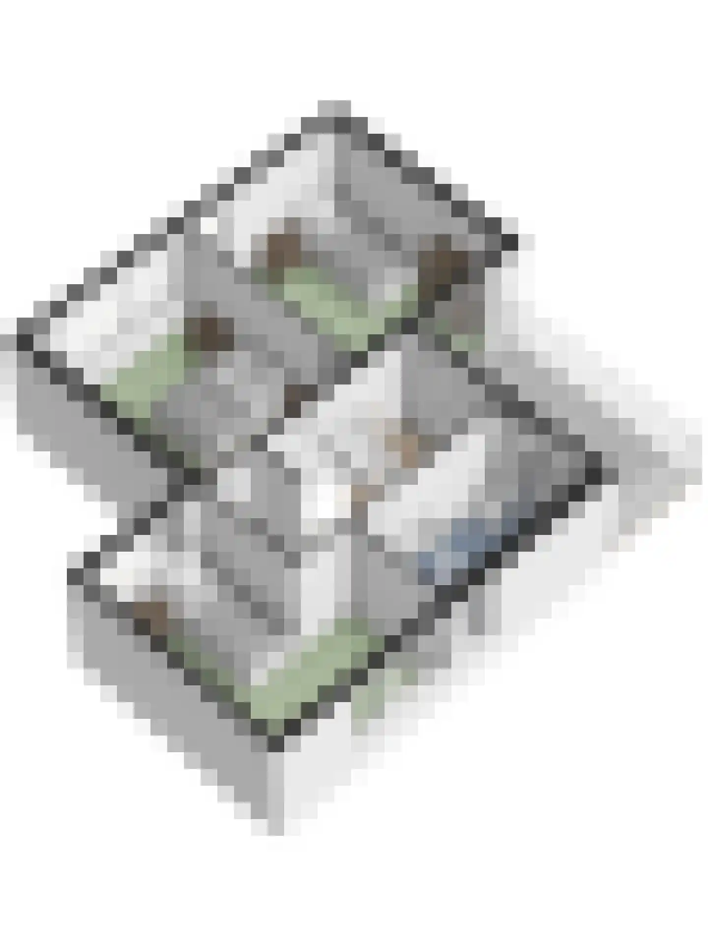 Meester Merkxstraat 9 Arnhem thumbnail 69