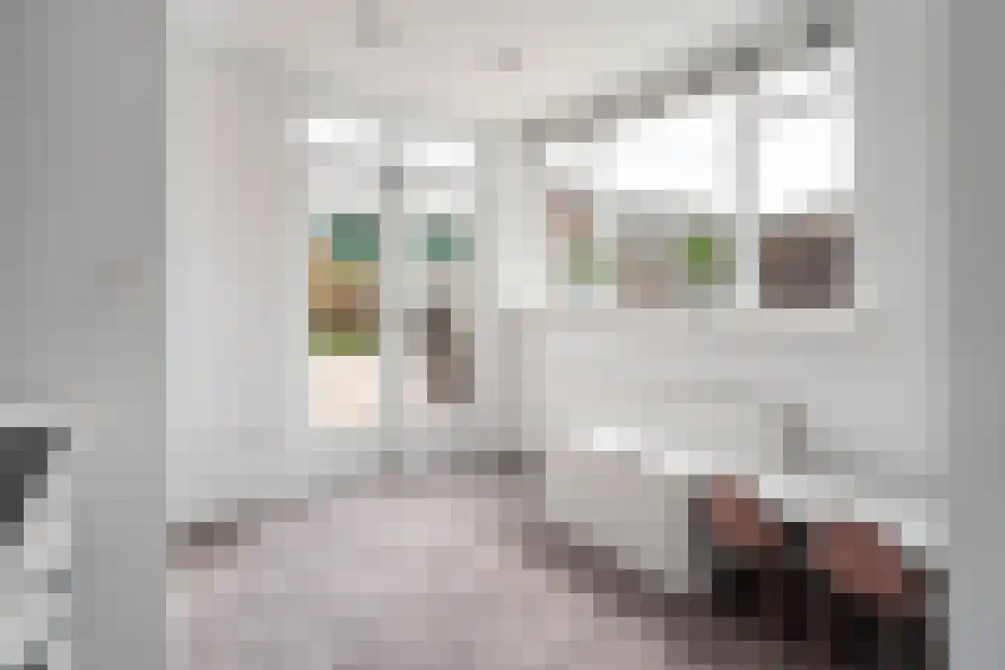 Meester Mierasstraat 11 Beesd thumbnail 20