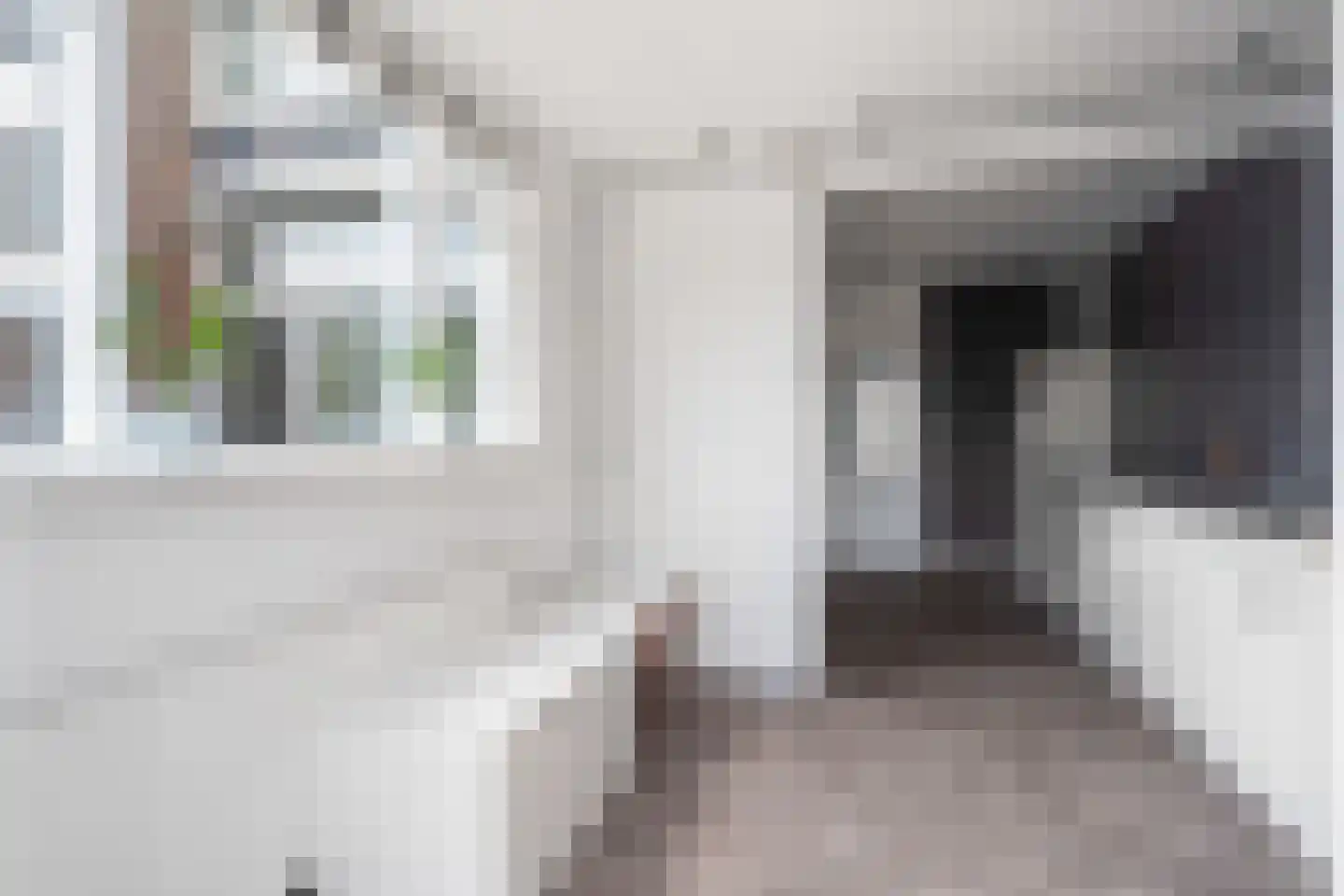 Meester Mierasstraat 11 Beesd thumbnail 21