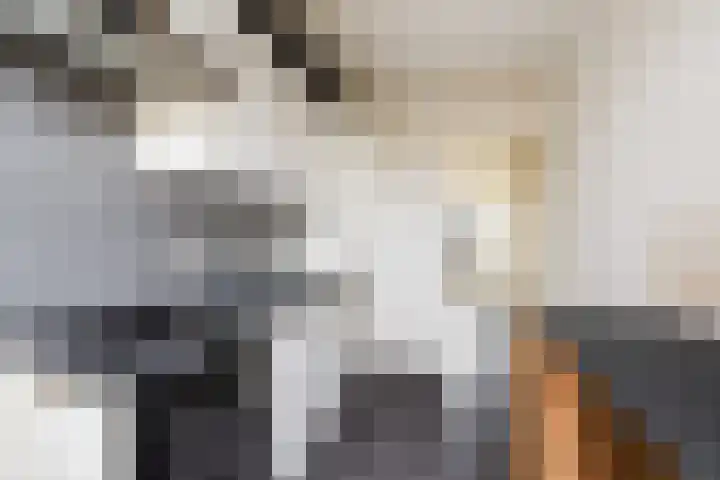 Meester Mierasstraat 13 Beesd thumbnail 10