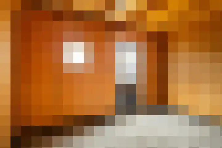 Meester Mierasstraat 13 Beesd thumbnail 16