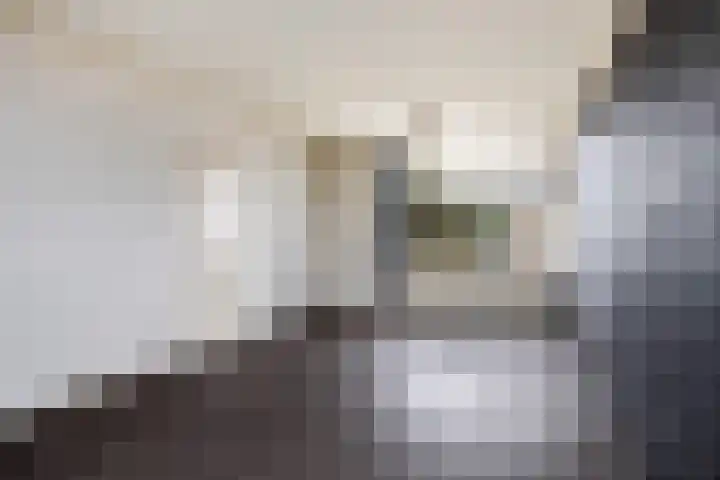 Meester Mierasstraat 13 Beesd thumbnail 8