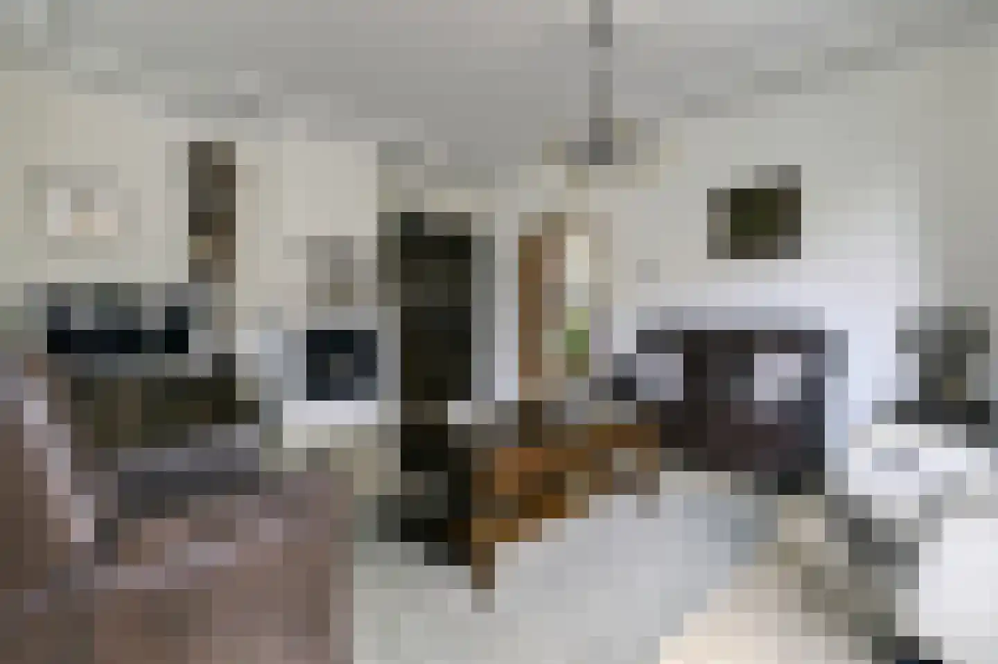 Meester Molstraat 5 Kruisland thumbnail 10