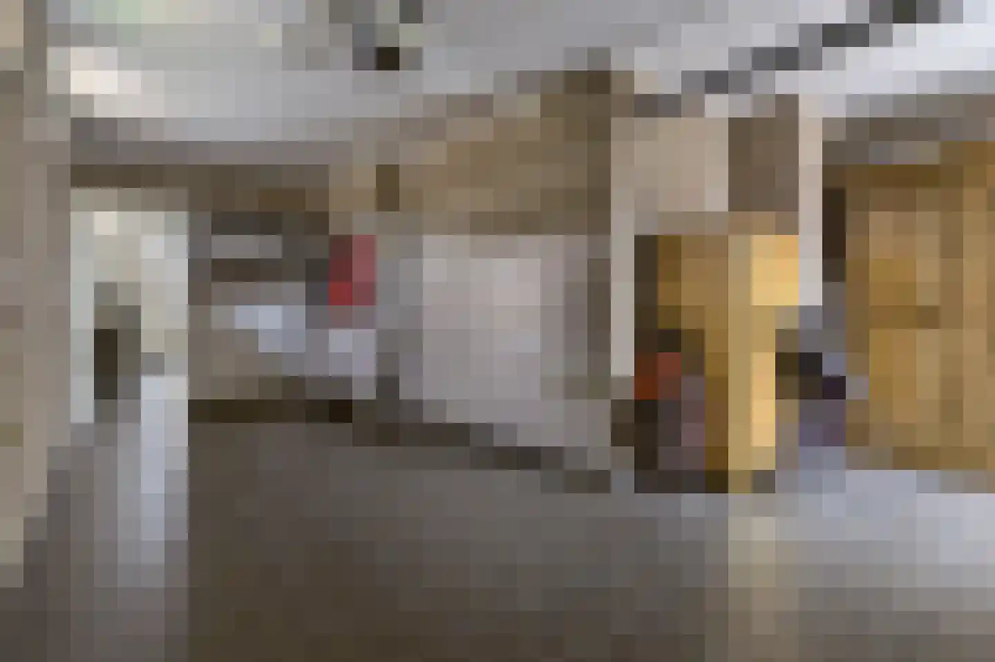 Meester Molstraat 5 Kruisland thumbnail 20
