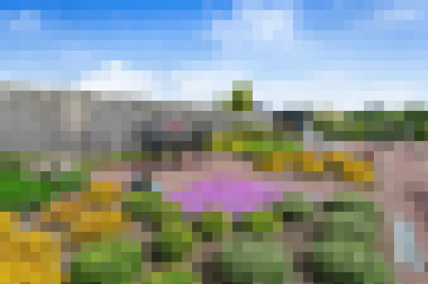 Meester Molstraat 5 Kruisland thumbnail 37